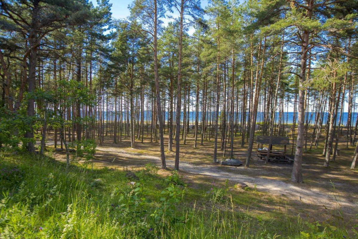 Puhkekeskus Valkla Rand- Simple Accomodation Extérieur photo